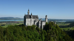 T&ouml;dliche Attacke bei Neuschwanstein: Anklage und Verteidigung fordern lebenslang