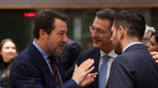 Salvini all'Ue, 'sospendere il patto di stabilit&agrave; contro la crisi'