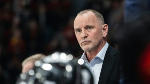 Berglund &uuml;bernimmt die Haie: Schwedischer Meistercoach kommt