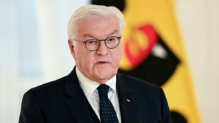 Steinmeier unterzeichnet Gesetz zu Grundgesetz&auml;nderungen f&uuml;r Finanzpaket