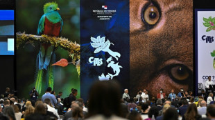 Cumbre de especies amenazadas arranca en Panam&aacute; con llamados a combatir tr&aacute;fico