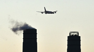 La transici&oacute;n energ&eacute;tica del sector a&eacute;reo brit&aacute;nico har&aacute; subir los precios