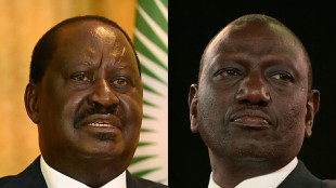 Le Kenya, puissance &eacute;conomique d'Afrique de l'Est, &eacute;lit son pr&eacute;sident