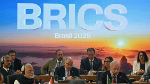 Brics-Staaten äußern "ernsthafte Bedenken" gegen US-Strafzölle