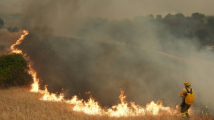Los incendios que arrasan Espa&ntilde;a y Francia siguen sin control y fuerzan la evacuaci&oacute;n de 260.000 personas