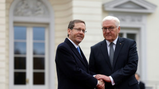 Steinmeier will Israel zu M&auml;&szlig;igung aufrufen - Besuch in kommender Woche