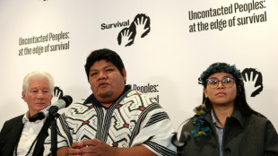 Metade dos povos ind&iacute;genas isolados do mundo pode desaparecer em dez anos, adverte ONG