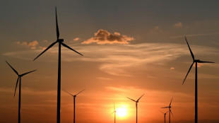 Bundesrat entscheidet &uuml;ber Gesetze zur Energiesicherheit
