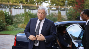 Tajani, una quindicina di italiani feriti, altrettanti dispersi
