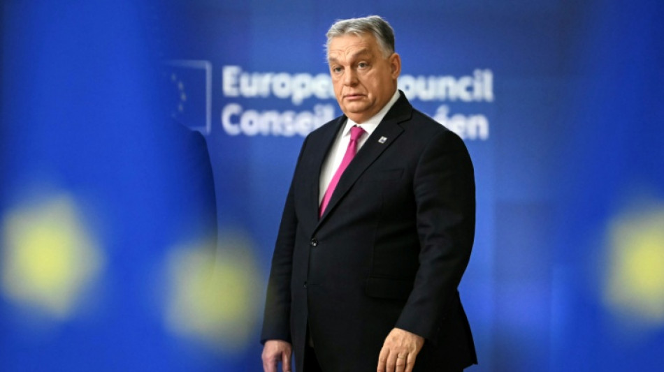 Pas de dernier sommet europ&eacute;en pour Orban