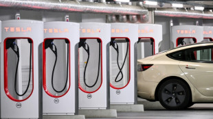 Stromausf&auml;lle in Brandenburg nach mutma&szlig;lichem Brandanschlag: Auch Tesla betroffen