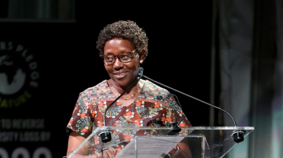 COP15: Es "urgente actuar" tambi&eacute;n por la biodiversidad, advierte la ONU