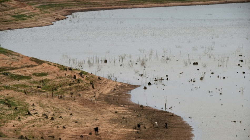 Una sequ&iacute;a cr&iacute;tica acecha el abastecimiento de agua en Sao Paulo