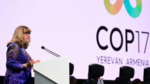 COP17 chega a acordos sobre textos fundamentais para proteger a natureza