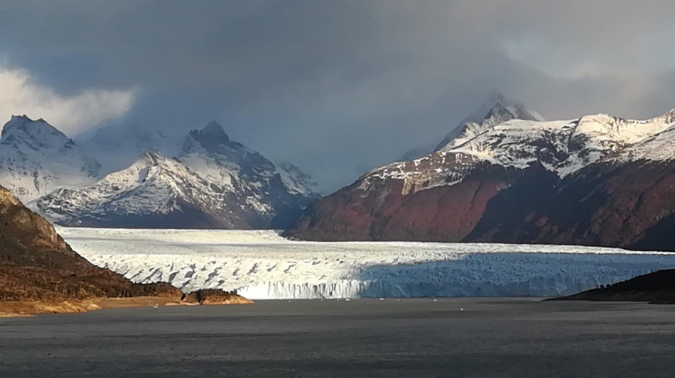 Inquinanti 'eterni' anche in Patagonia, trovati grazie ai pinguini