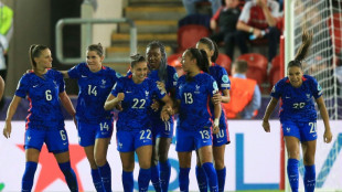 Bleues: en Su&egrave;de, nouveau sommet sur la route du Mondial