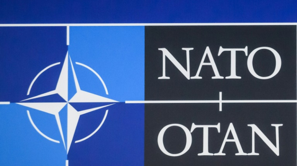 Bundestag entscheidet am Freitag &uuml;ber Nato-Aufnahme Finnlands und Schwedens 