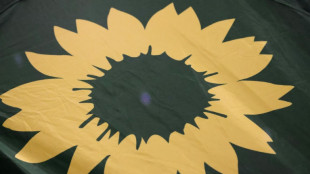 Grüne räumen Fehler im Fall Gelbhaar ein