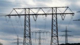 Bundesregierung einig bei erneuter Strompreissubventionierung &uuml;ber Netzentgelte