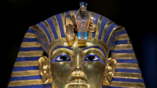 Milhares de visitantes vão à exposição de Tutancâmon no Grande Museu Egípcio