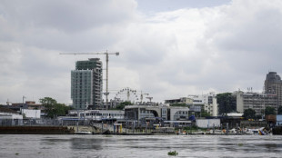 A Kinshasa, des terres agricoles englouties par le béton