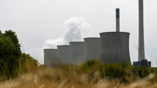 Kreise: Kabinett soll Verordnung f&uuml;r Kohleverstromung bei Gasknappheit billigen