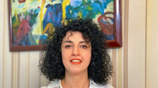 Inhaftierte iranische Friedensnobelpreistr&auml;gerin Mohammadi tritt in Hungerstreik