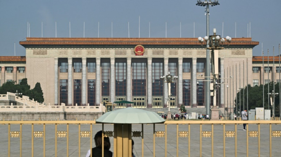 Bericht: China macht in Entwicklungsl&auml;ndern Propaganda f&uuml;r autorit&auml;res Regieren