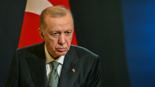 Türkischer Präsident Erdogan will zwischen dem Iran und Israel vermitteln