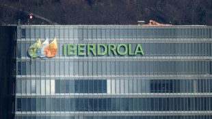 Iberdrola renuncia a la compra de PNM Resources
