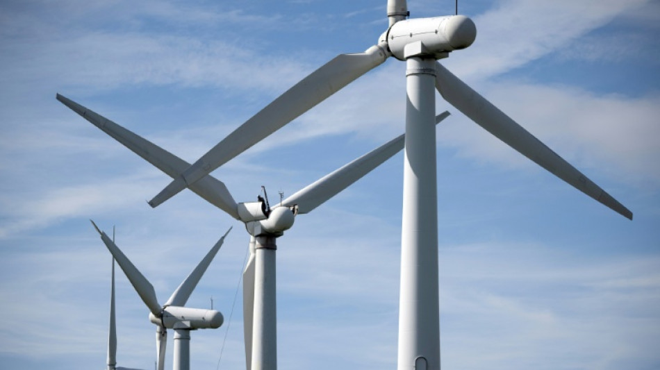 Le gouvernement veut revoir le soutien public aux &eacute;nergies renouvelables