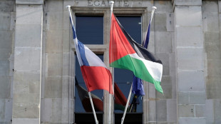 Dozens of French towns flout government warning to fly Palestinian flag