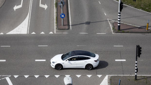 Tesla dimezza ancora la quota in Europa, -52,6% in aprile