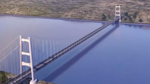 Ciucci, 'la nota dell'Ue sul Ponte &egrave; normale dialettica'