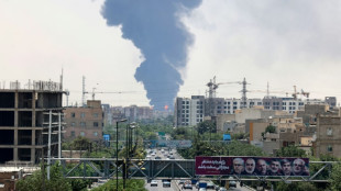 SPD, Grüne und Linke fordern Stopp von Abschiebungen nach Iran