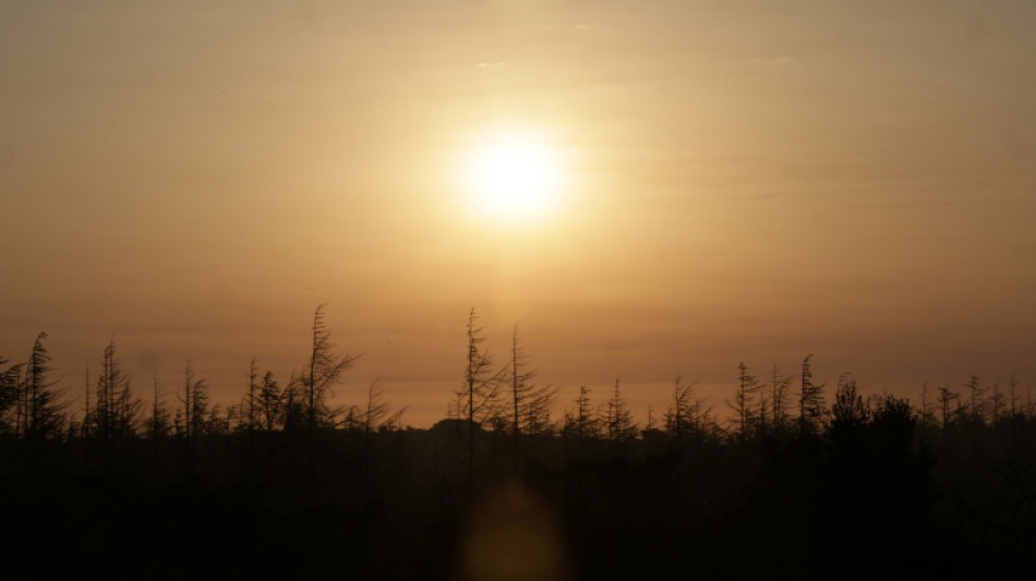 UN climate panel head wants swift end to deadlock over key scientific report