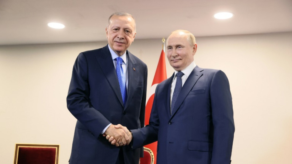 Putin sieht Fortschritt bei Verhandlungen &uuml;ber Getreideexporte aus der Ukraine 