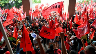 Miles de oficialistas protestan en Honduras contra el "golpe electoral"