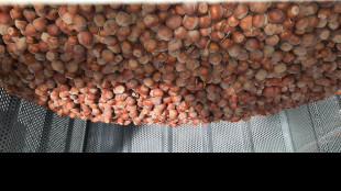 Ismea, 'boom della frutta a guscio, acquisti oltre 1,1 miliardi'