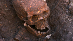 Misterioso desaparecimento de dois príncipes na Torre de Londres ressurge após cinco séculos