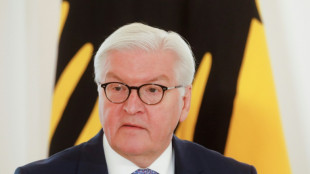 Steinmeier wirbt für Multilateralismus und die Achtung des Völkerrechts