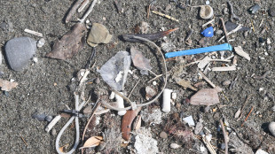 Le microplastiche a contatto con l'acqua generano molecole dannose