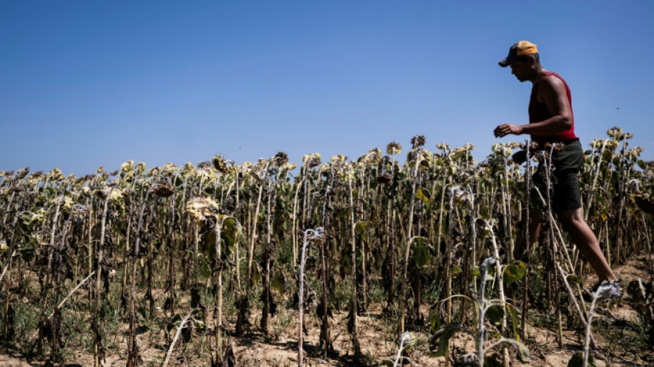 Weltklimarat soll im Dezember &uuml;ber n&auml;chsten Sachstandsbericht beraten