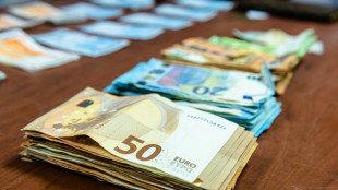 Geldw&auml;scheverdacht: Grenzfahnder finden 850.000 Euro Bargeld in Kofferraum
