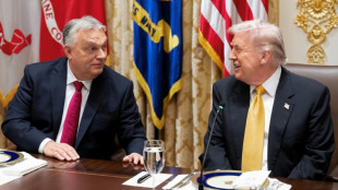 Hungary's Orban wins Russian oil sanctions exemption from Trump