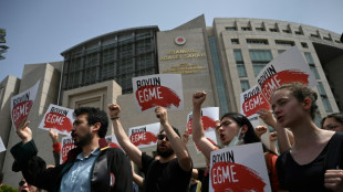 Consejo de Europa reclama que mecenas turco Kavala sea liberado "sin m&aacute;s dilaci&oacute;n"