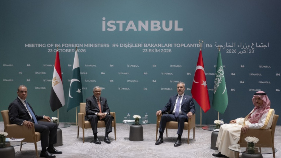 Iran : huit pays d'Europe et du Moyen-Orient plaident pour la paix &agrave; Istanbul