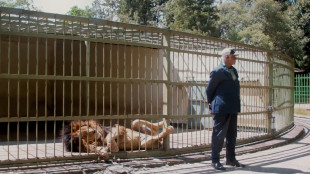 'Wax Gold', un hotel e le tante facce di Hail&eacute; Selassi&eacute;