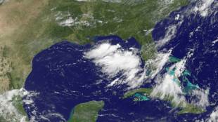 La tormenta Erick se aproxima a las costas del Pacífico mexicano