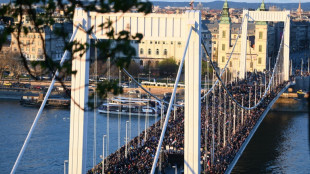 Tausende Ungarn demonstrieren in Budapest gegen Verbot von Pride-Parade
